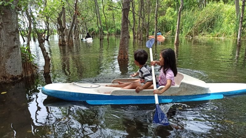 wisata kano di mangrove banyuwangi